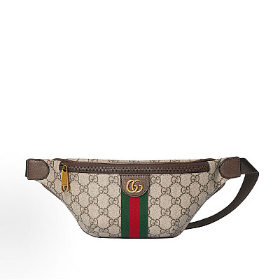 [스페셜오더]GUCCI-839106 FAEOF 9745 오피디아 스몰 벨트백