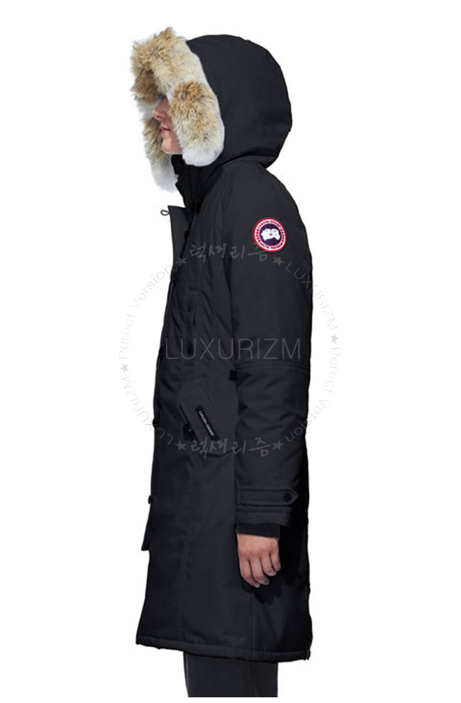 canada goose11-1021-2.jpg