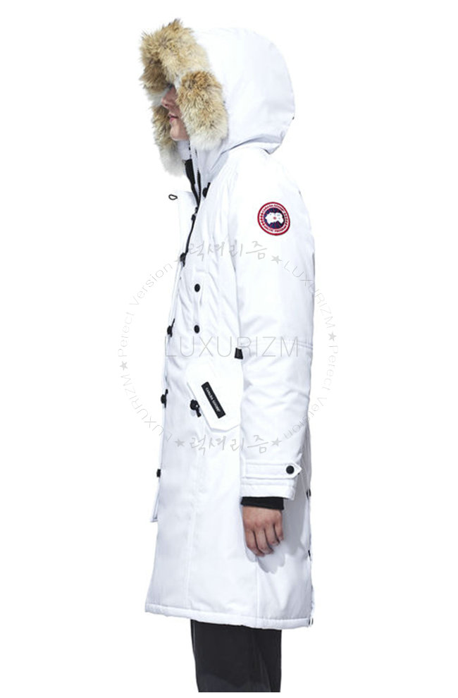 canada goose12-1021-3.jpg