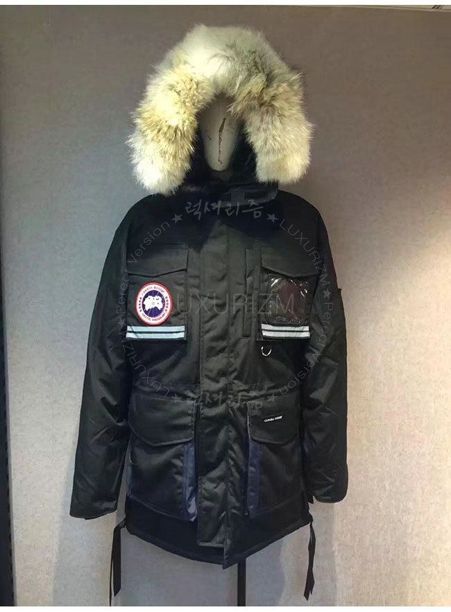 canada goose3-1021-2.jpg