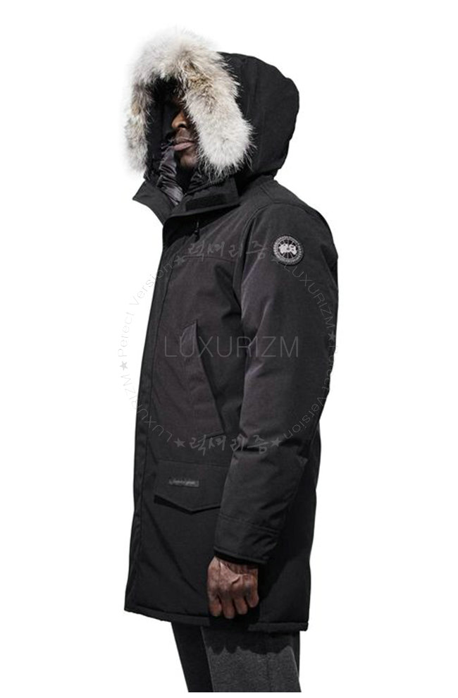 canada goose6-1021-2.jpg