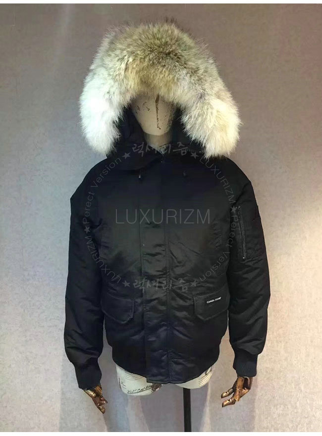 canada goose2-1023-5.jpg