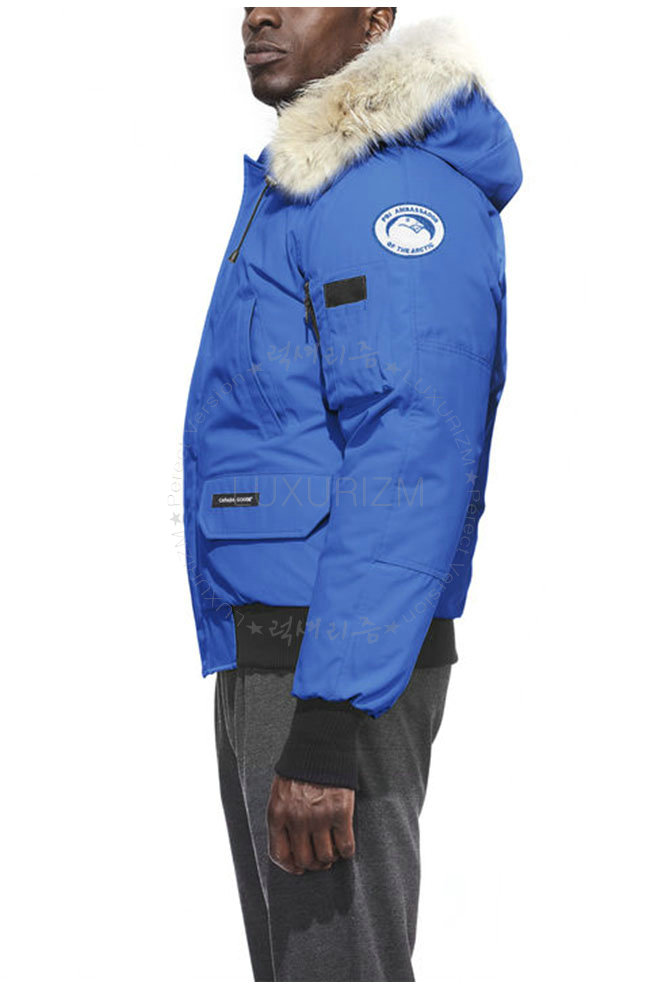 canada goose4-1023-3.jpg