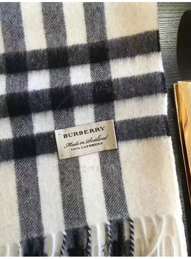 burberry1-1102-7.jpg