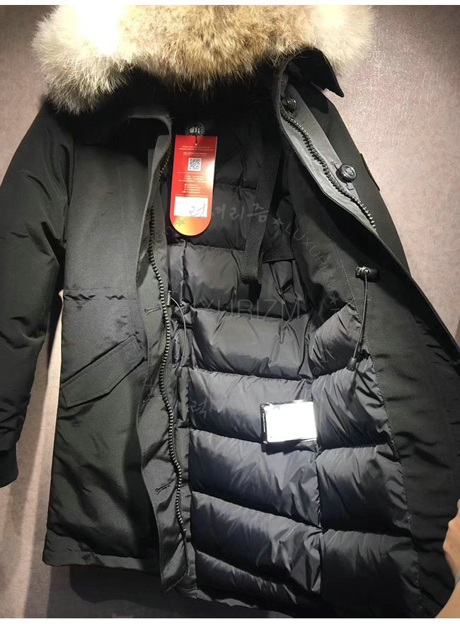 canada goose13-1103-5.jpg