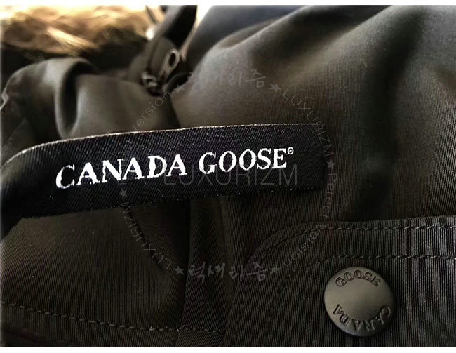 canada goose14-1103-9.jpg