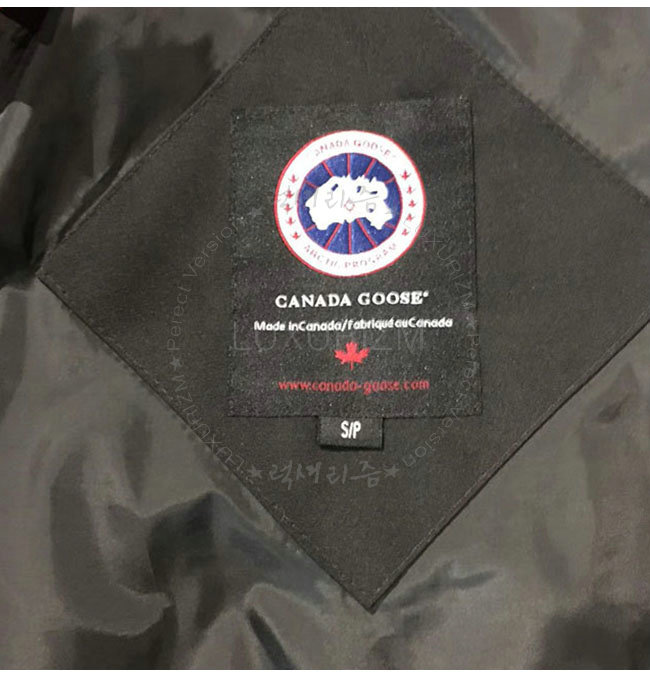 canada goose3-1108-4.jpg