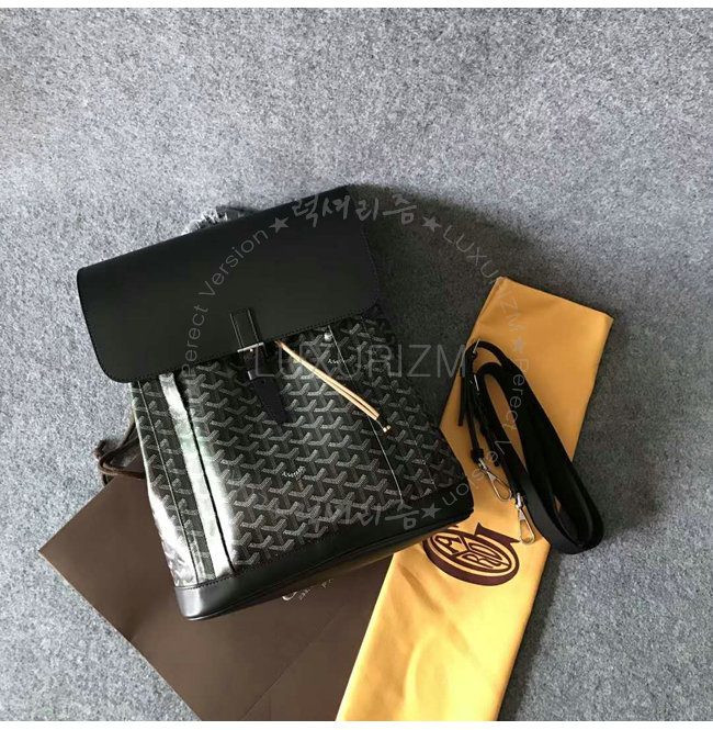 goyard2-0209-001.jpg