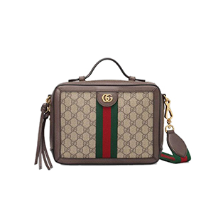 GUCCI-658551 구찌 베이지/에보니 오피디아 GG 미니 숄더백 20cm