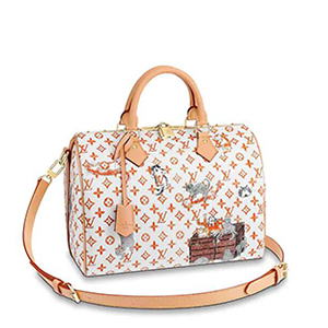 LOUIS VUITTON-N41364 루이비통 다미에 에벤 스피디 30